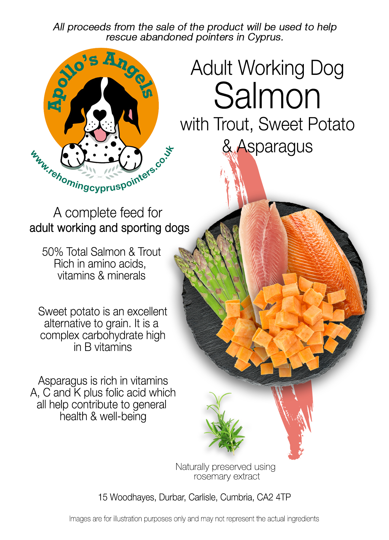 Can I Feed My Trout Dog Food