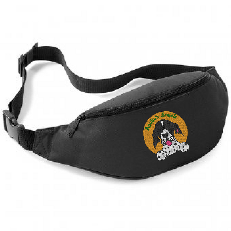 treat-bum-bag-rehoming-cyprus-pointers
