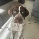 Millie – Reserved Subject to Home Check
